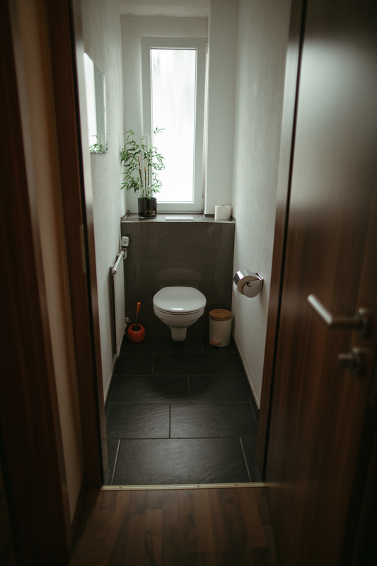 WC_-_EZ_Eco